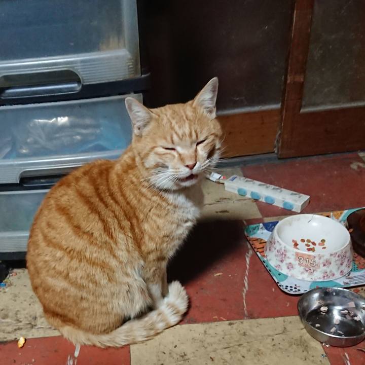 09e445d5 89d0 4427 8ea2 703aac61e2a9 1583312003838