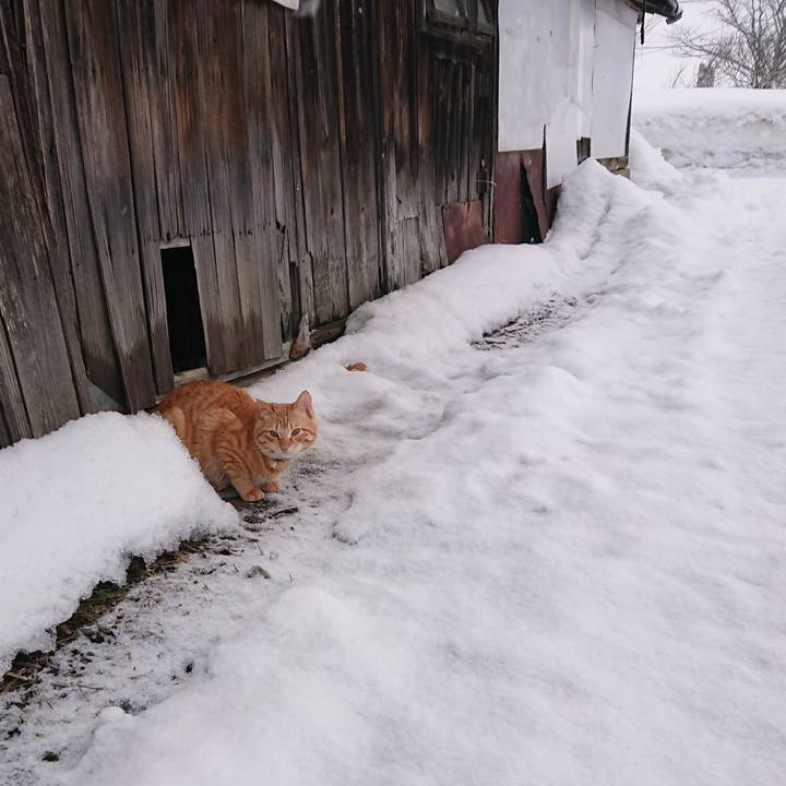 09e48e02 e88d 4239 8098 d9affd98e8f5 1643157200281