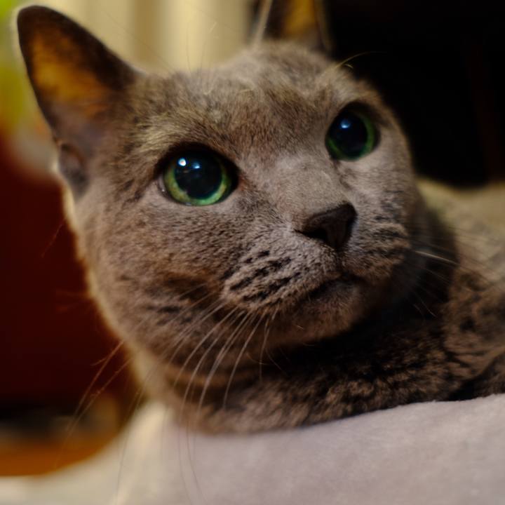 09e4979a 7120 4932 b8a1 cd4a0a599e5d 1574766781246