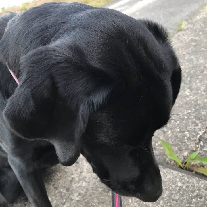 09e4c492 9a74 47a0 bd8b 745feb431430 1558782717519