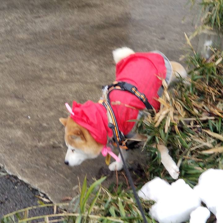 09e4de17 6fcf 49dc 89fa 06f1dd1874fb 1647926446755