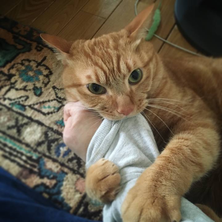 09e4f87f 707d 4492 bffc f15d566f2192 1585631910310