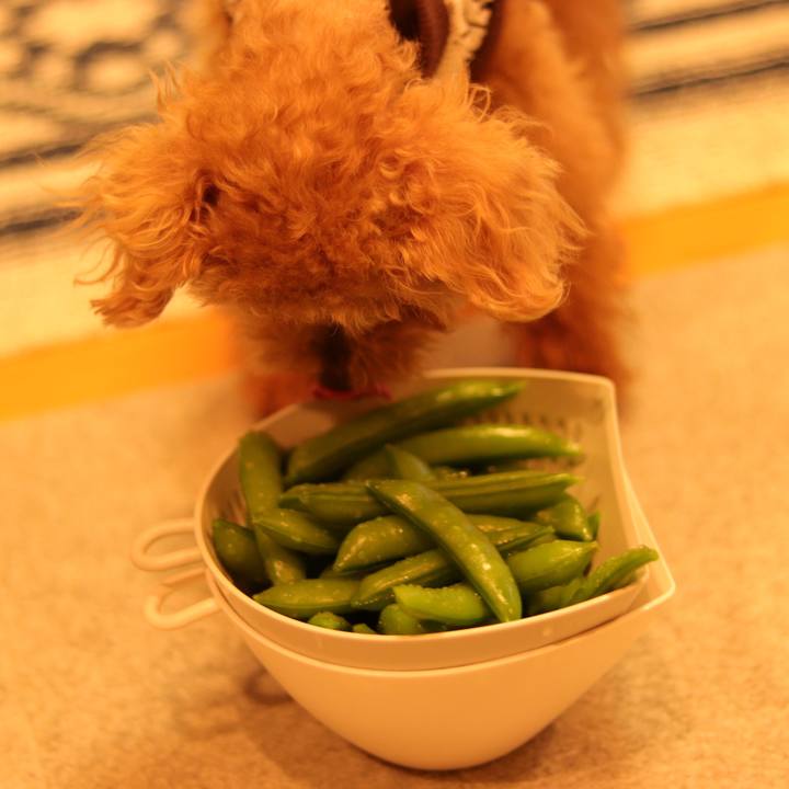 09e50207 d2b9 4ca8 ade4 2f1a4e93ceb7 1621775026567