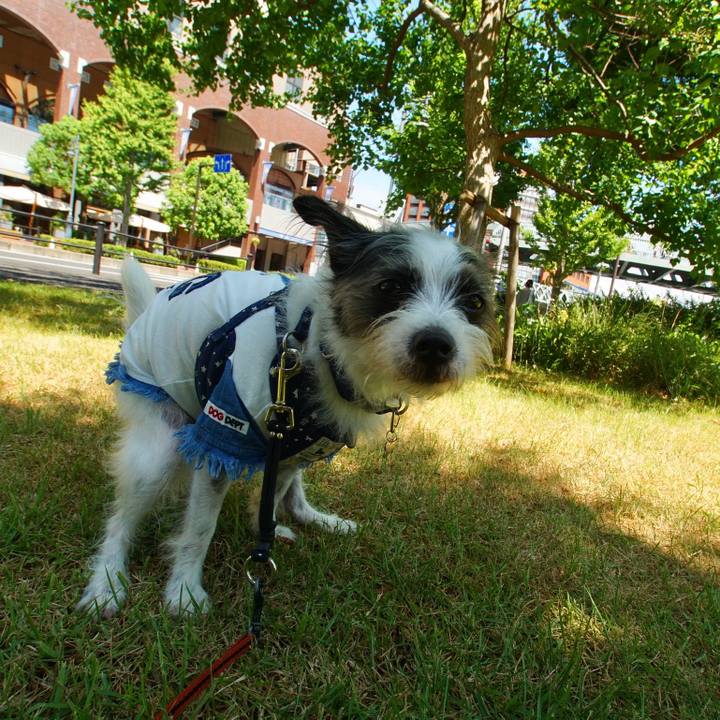 09e51743 f618 46b1 94f4 f5152479b398 1565735641122