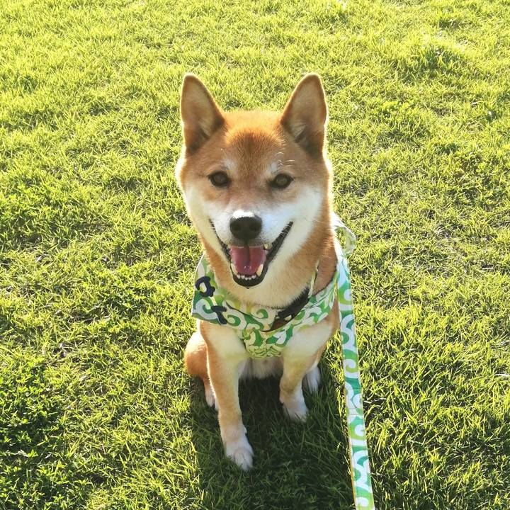 09e51922 7067 4657 8f11 dbebc05c129e 1596358365880