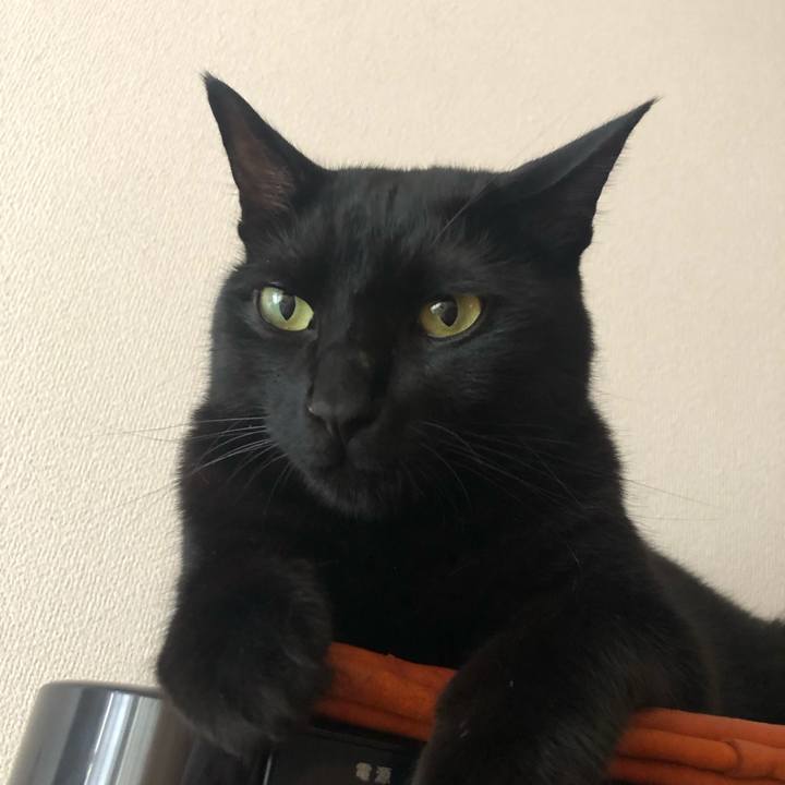 09e5296c 927f 4572 b52f 0abf040341ec 1562677248299