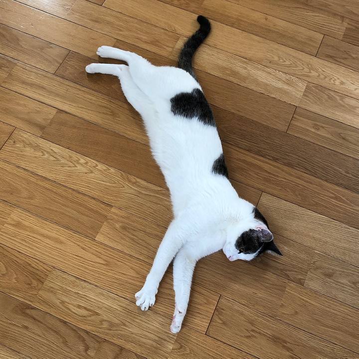 09e52e3e 49a8 4943 b7d3 76a579a80c91 1623138339123