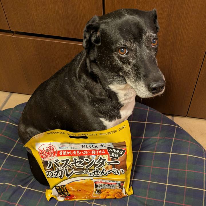 09e543d6 264e 48f3 ab0b 6c982b696e94 1768921955963