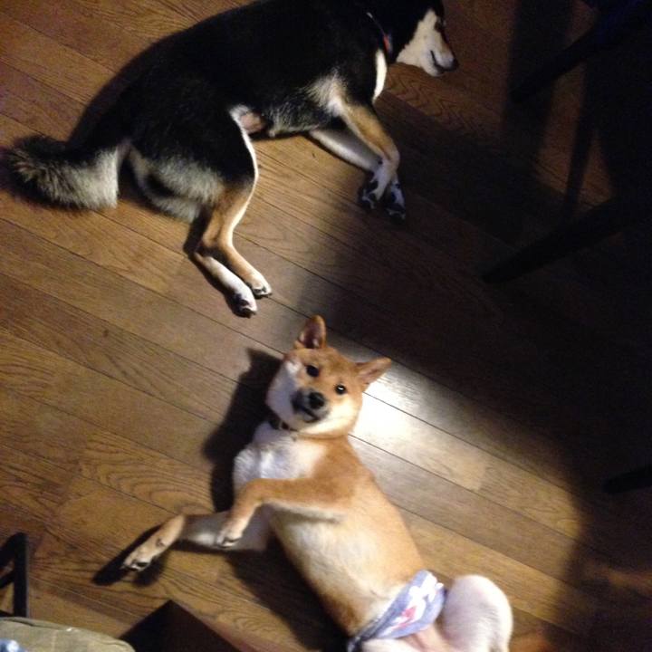 09e59dbd 3df0 4181 9565 42d48c092e47 1535405699672