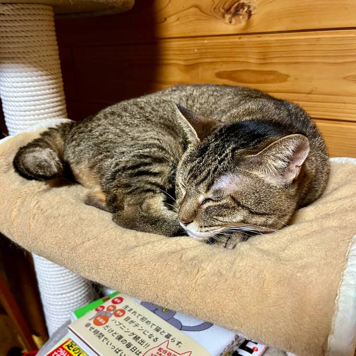 09e5a62b 03bc 44a6 9963 f338bf59fa4a 1728129622171