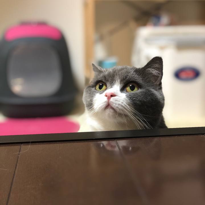 09e5a8d7 0488 4dcc 94c0 d8f48905e544 1559134668281