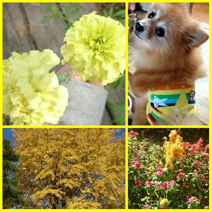 09e61e27 dfc1 44d3 91b2 28249bdfc874 1510715708923