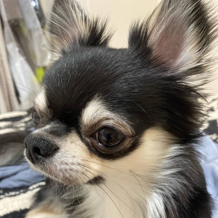 09e63f99 d2ba 4263 913c 3c0ccdf2a544 1621087503424