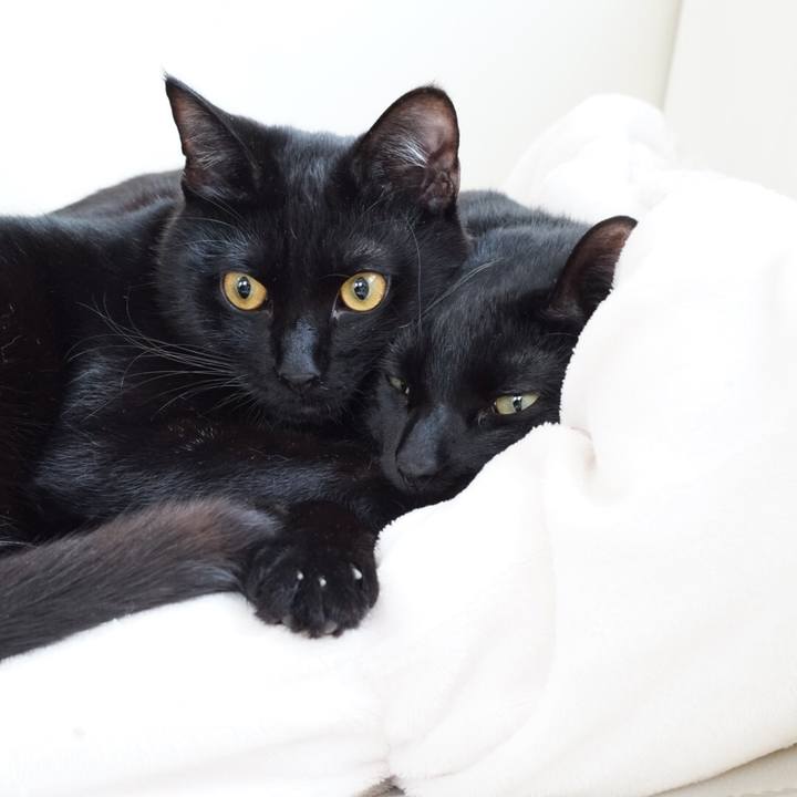 09e64755 0803 4d81 be6d 043bd3d5120b 1520221113176