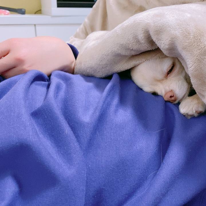 09e6836a 936b 4b51 b621 8142d667208b 1611131355774