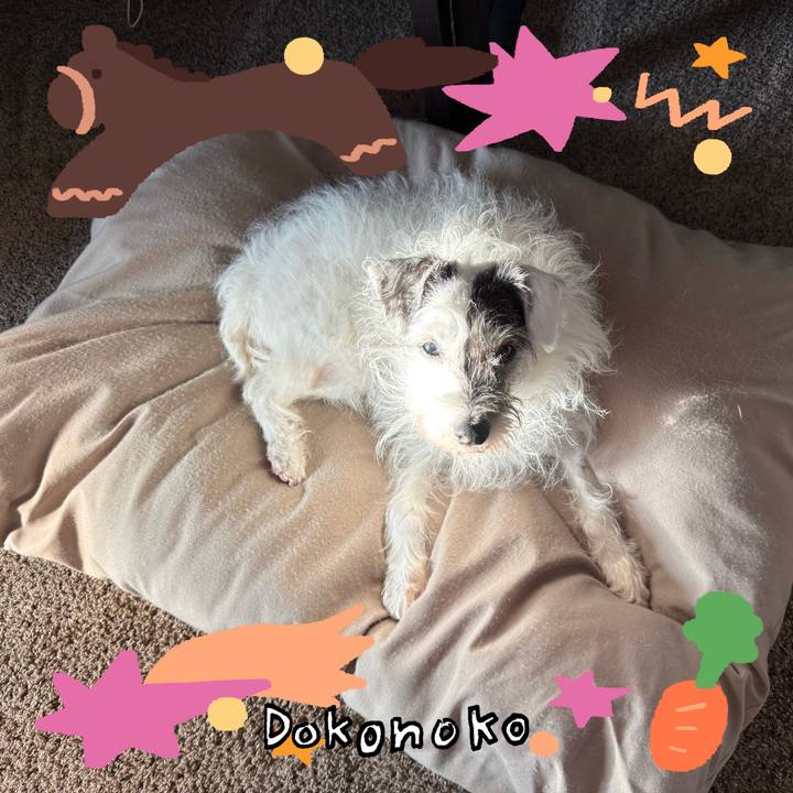 09e6935e d841 4404 a6e0 3dd6cc463358 1771973481541