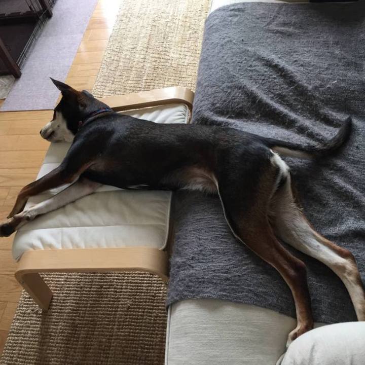 09e6ab57 0cd8 4399 a083 457885848731 1590885768943