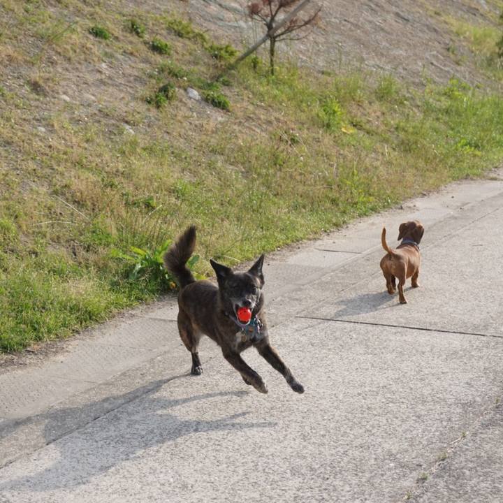 09e71b4a ec0e 46e9 a578 8a1d15b10b49 1560600390426