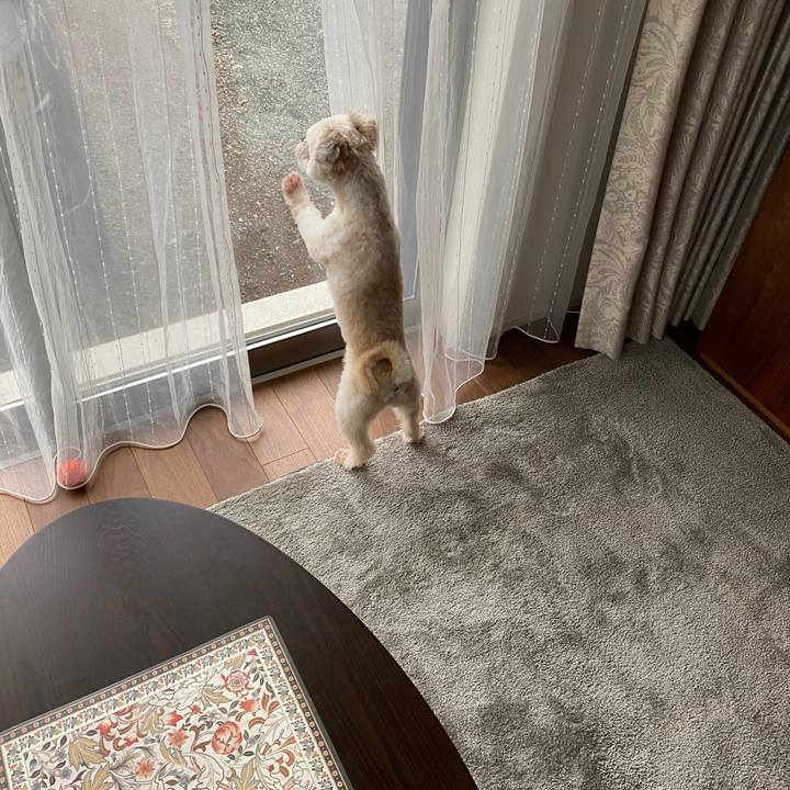 09e724cc d35f 451e b0cb a6d3350ff407 1599867455734