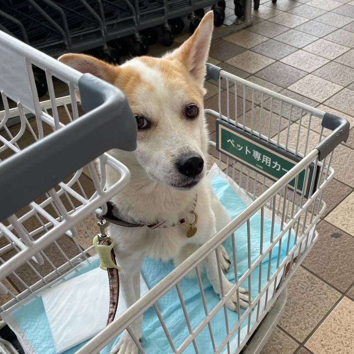 09e74828 01e5 461d 853c b7122cd3ea82 1685485157618