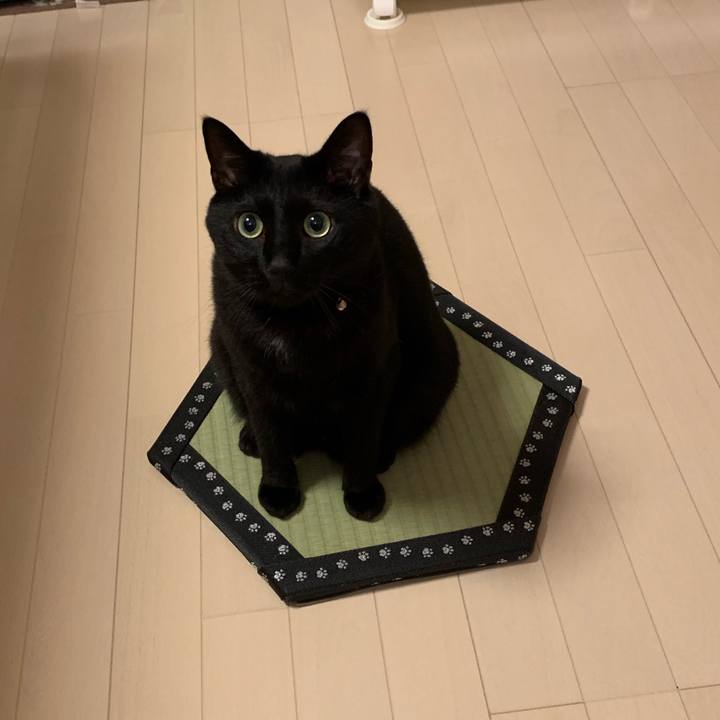 09e74dbf cd0c 43f3 9dec a30367911905 1562857125920