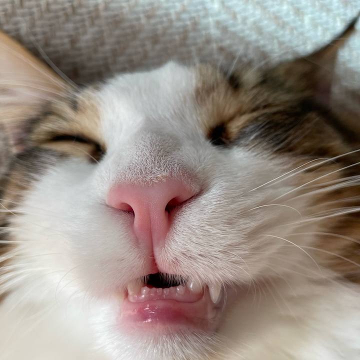 09e77da3 0d50 483f 8719 df868a3b095f 1651905947991