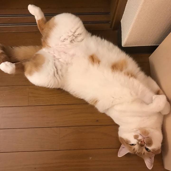 09e7a0ea 54d2 4b5e 85f1 55fc6972764d 1557139319290