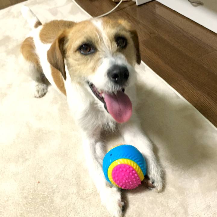 09e7b23d f9b3 4916 b017 c3f41bc67c6c 1546958775642