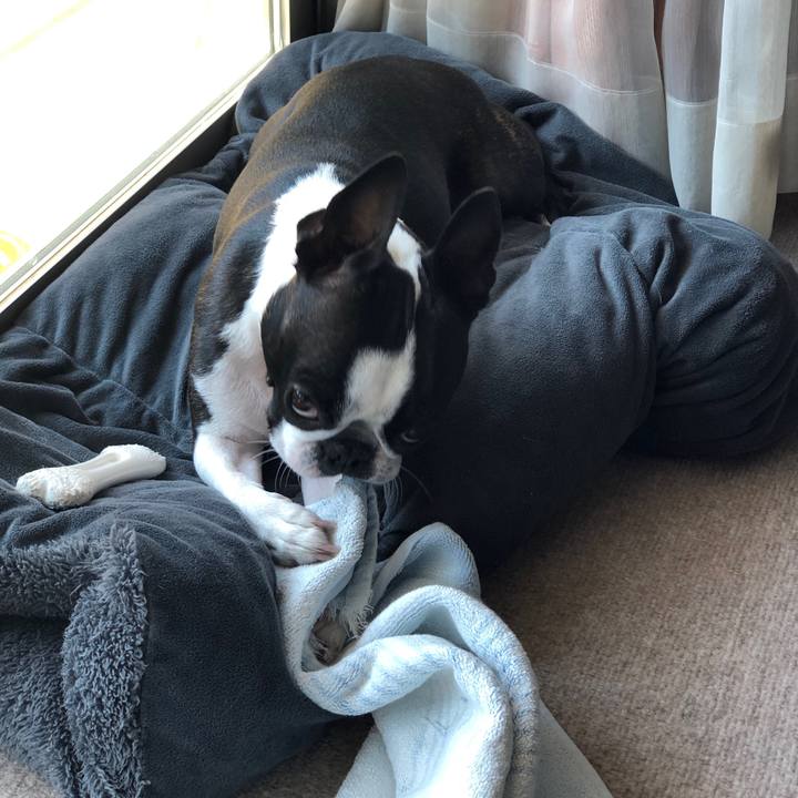 09e7bf4f 38f6 4f99 b962 0c6358560f58 1554166714216