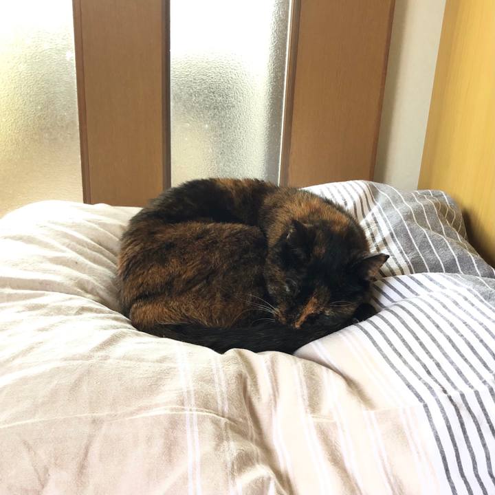 09e7dc3a f6f8 446e 8476 d2e837e45473 1624581093557