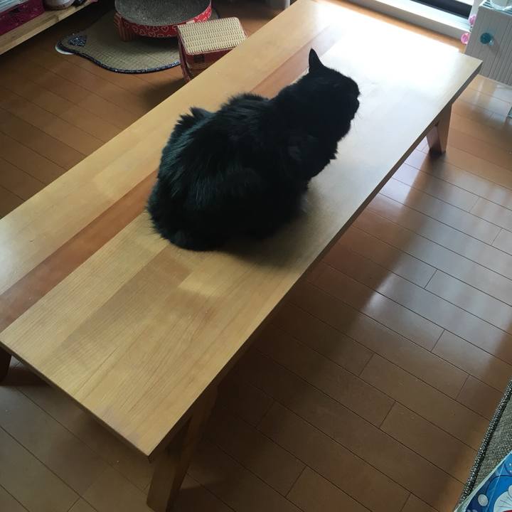 09e81565 0b01 4bd6 ab52 148e08f5050d 1533597762064