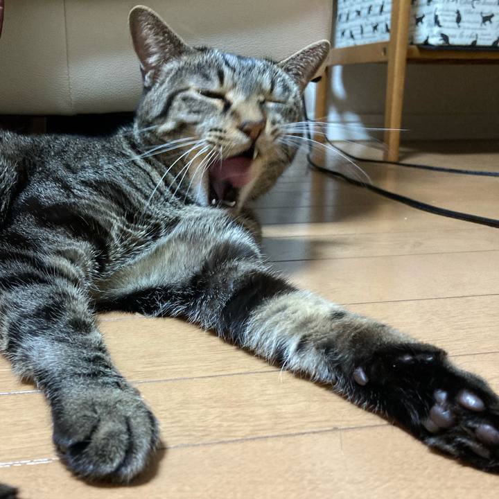 09e81672 27f5 4d47 9cb7 eff780335589 1610854141625