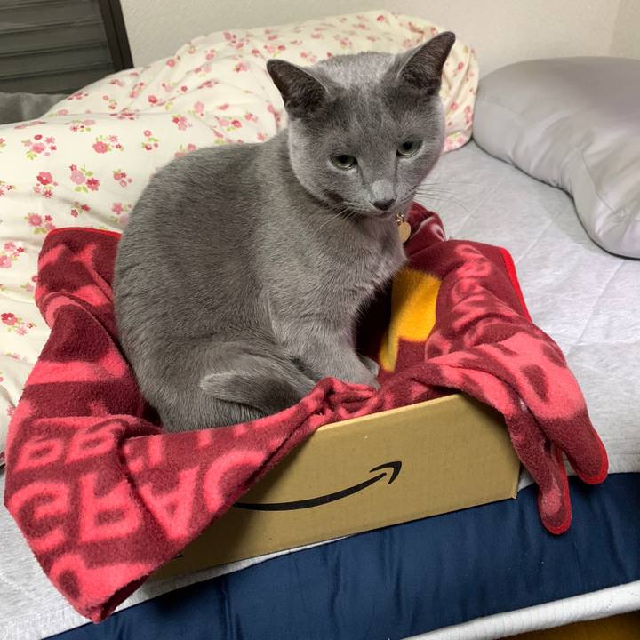 09e87086 812b 4f90 ad71 e4351e52e1a6 1640258914401