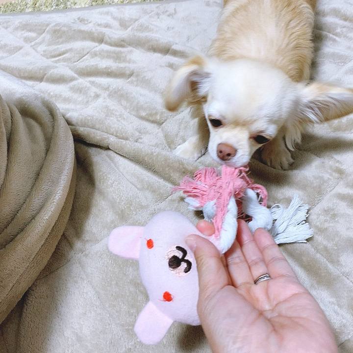 09e896ba 0ed0 4ab6 aba0 99ddcc1630ae 1619504077076