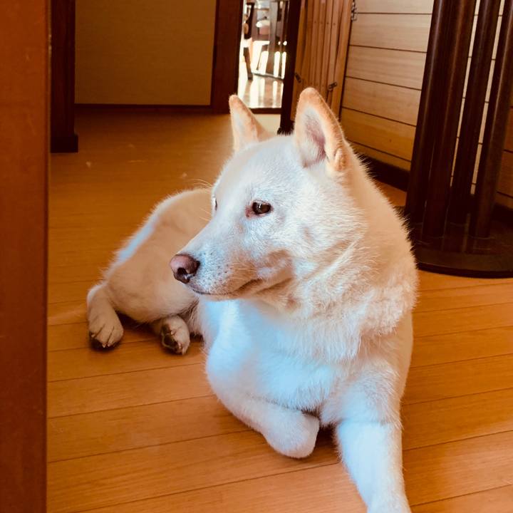 09e8bdbb f5c9 4c9d bb90 3fbc1c44fd1f 1563829099861