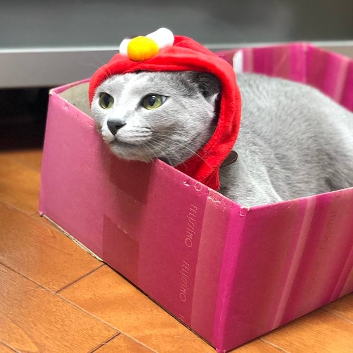 09e8d5e8 5899 4688 8e46 2d0516e54646 1544017974265