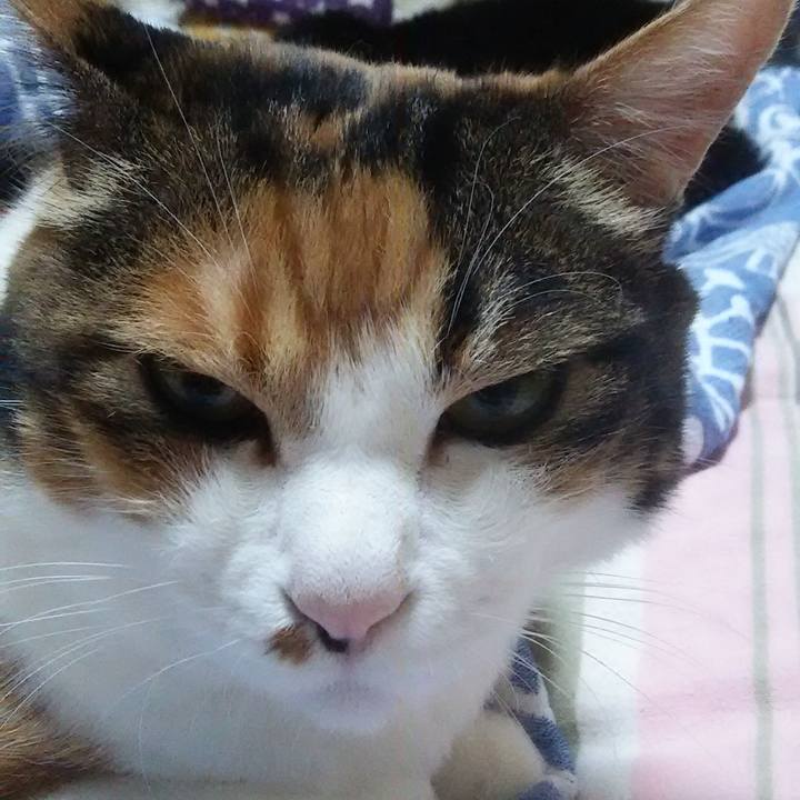 09e91cbc b4cd 4745 87b4 95a7a6683dff 1525815737699