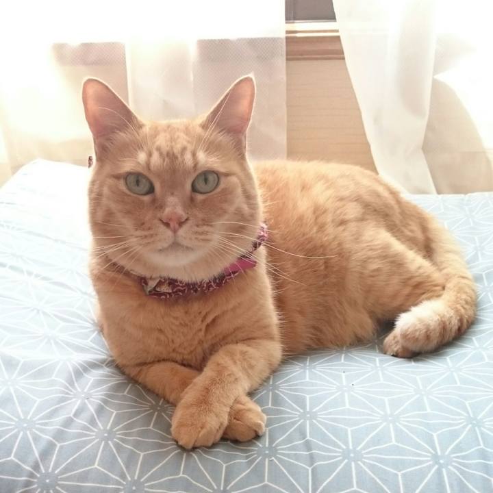 09e9489d 5dd1 4721 88ae c5f07b01d658 1527993312170