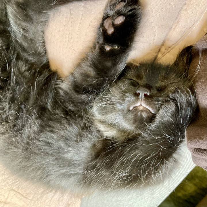 09e94ce8 3a05 4384 a306 26aafa8da6c6 1699926604473