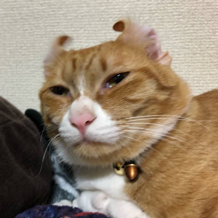 09e98a2e bdf0 4a4f bb21 c37d20c35b14 1572614057109