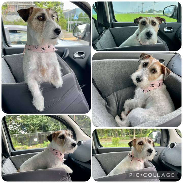 09e9af56 d696 4f12 af4d c85887486a93 1659519698832