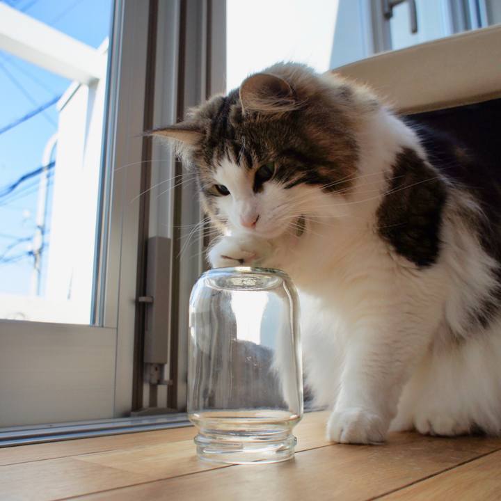 09e9c07d 26b5 4414 b47f 509e11ed4c8e 1521952503907