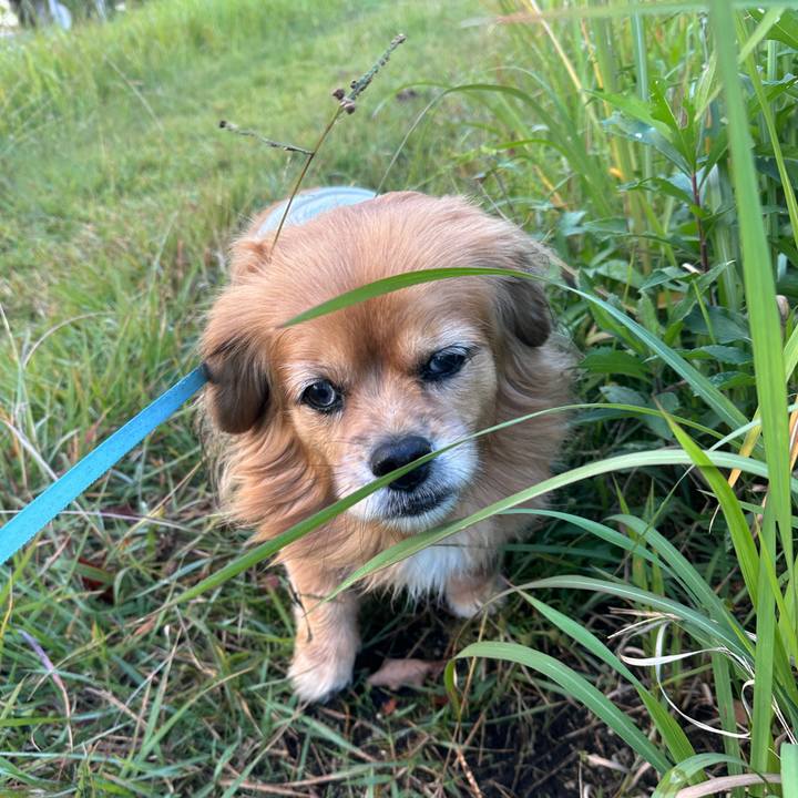 09e9c546 f715 48d0 9f5c 9703fb2cee42 1731202823773