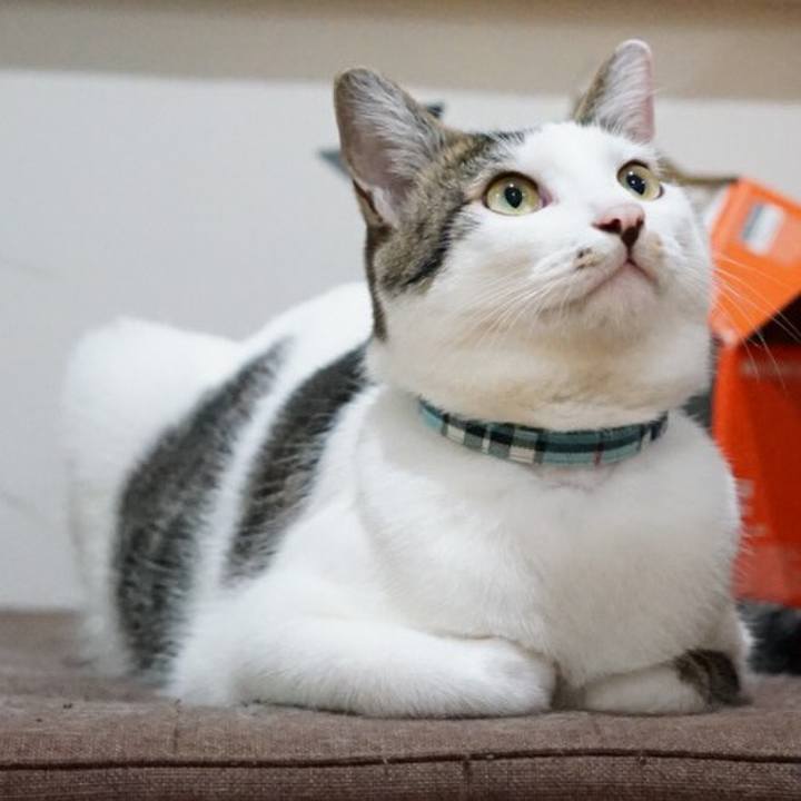 09ea5d1f efa7 425a 9220 8b8a8f8bfc8d 1511966558737