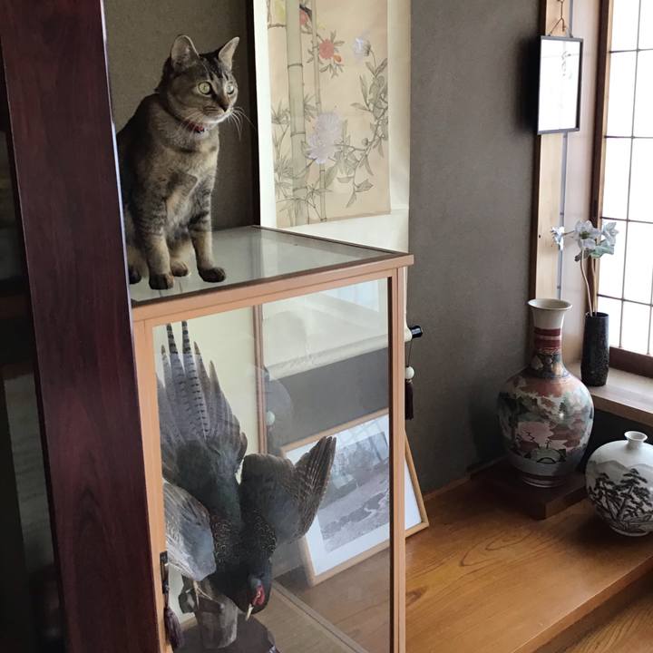 09ea66d4 f5af 4041 a474 9ab5b047a2e1 1583149616668