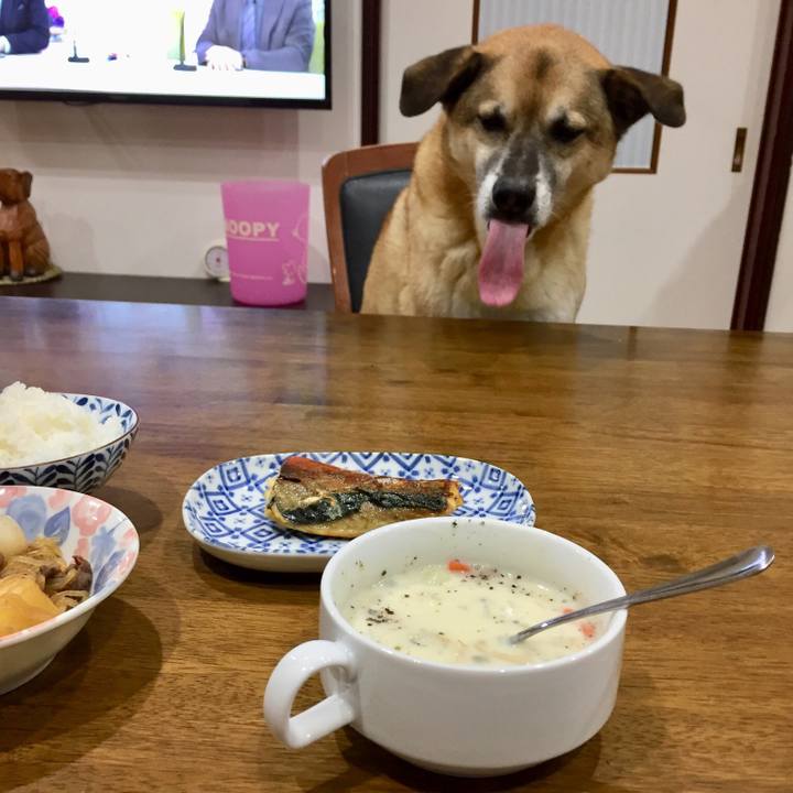 09eaa247 5c14 4426 aeb1 93fc483bdead 1544786287911