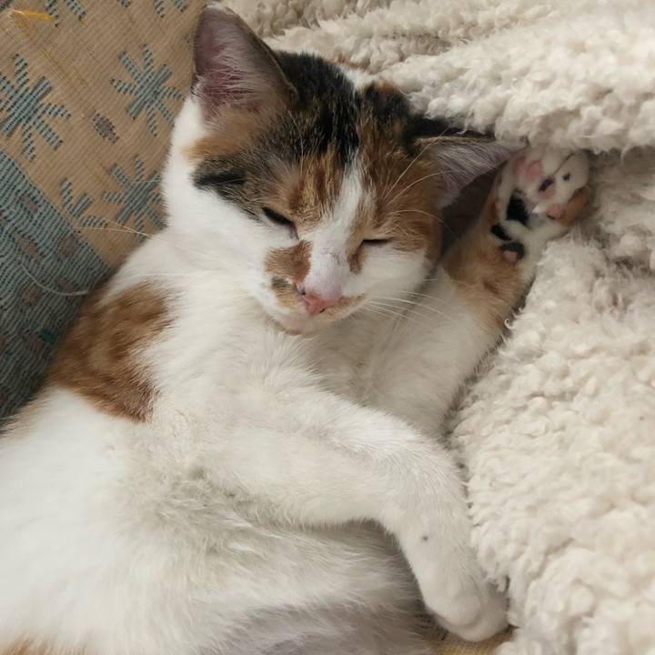 09eaa318 9b4f 4c06 b2fa 56e52e849b15 1574487457568