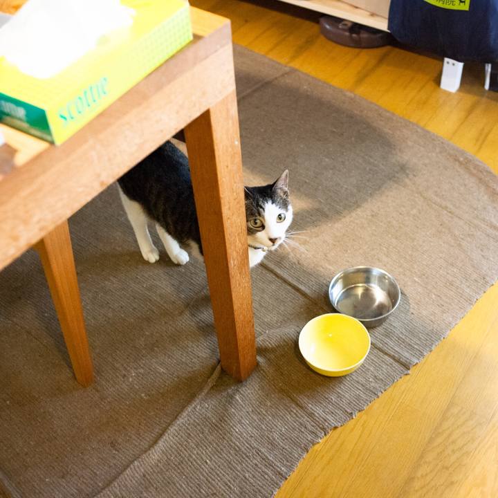 09eb11ce 947d 42ad a522 9fbb94975fa6 1562982534182