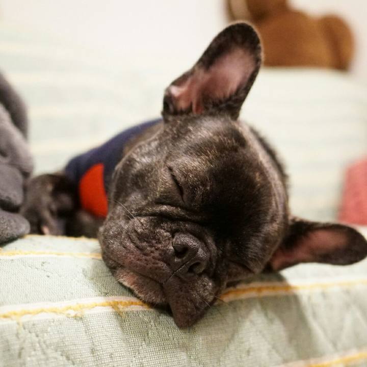 09eb2ba1 1b41 449f 821c fd36349f2769 1507467494869