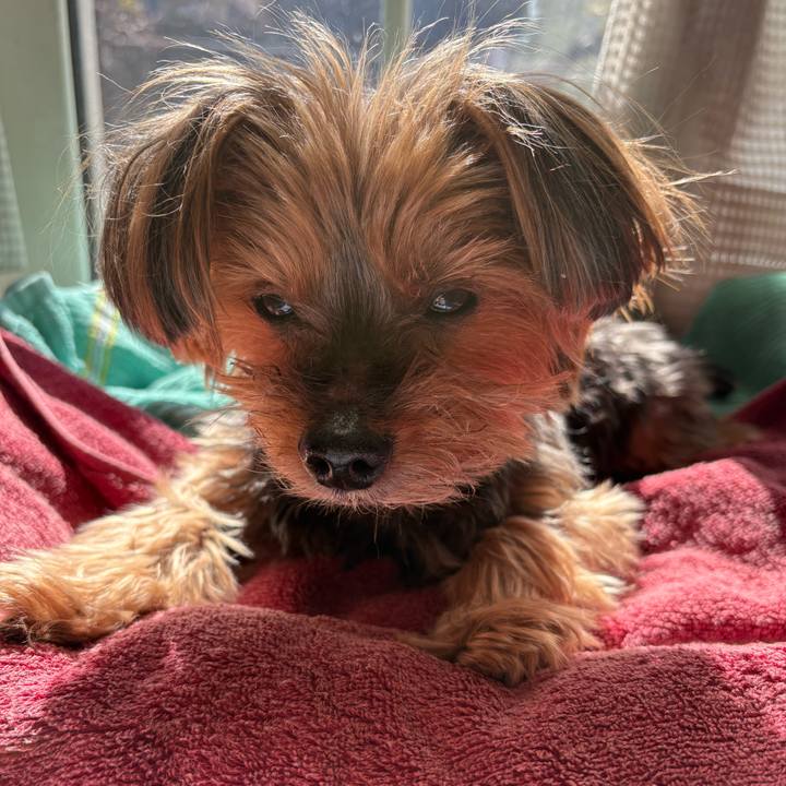 09eb3796 b5b1 4e97 8b7a 454a705d5b8f 1740105584162